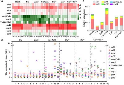 Combined effect of Cu- and ZnO- NPs on antibiotic resistance genes in an estuarine water